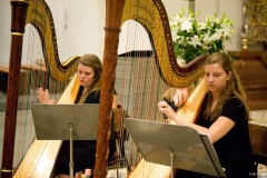 American Youth Harp Ensemble