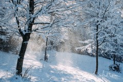 Märchenhafte Winterlandschaft