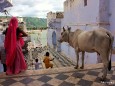 Pushkar Rajasthan - Foto Werner Simi